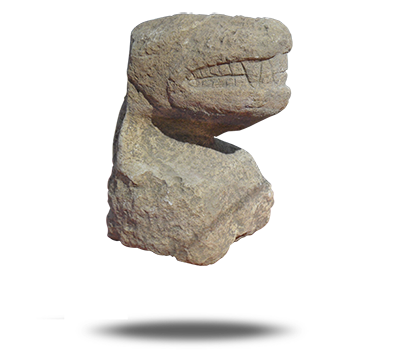 HEAD OF PREDATORY ANIMAL