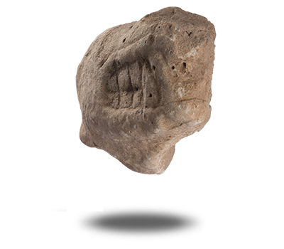 HEAD OF PREDATORY ANIMAL (2)